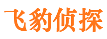 建平婚外情调查取证